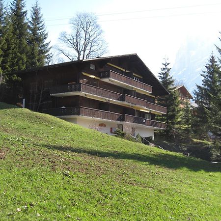 Superior Apartment 100M2 Bodmisonne - Grindelwald Zewnętrze zdjęcie