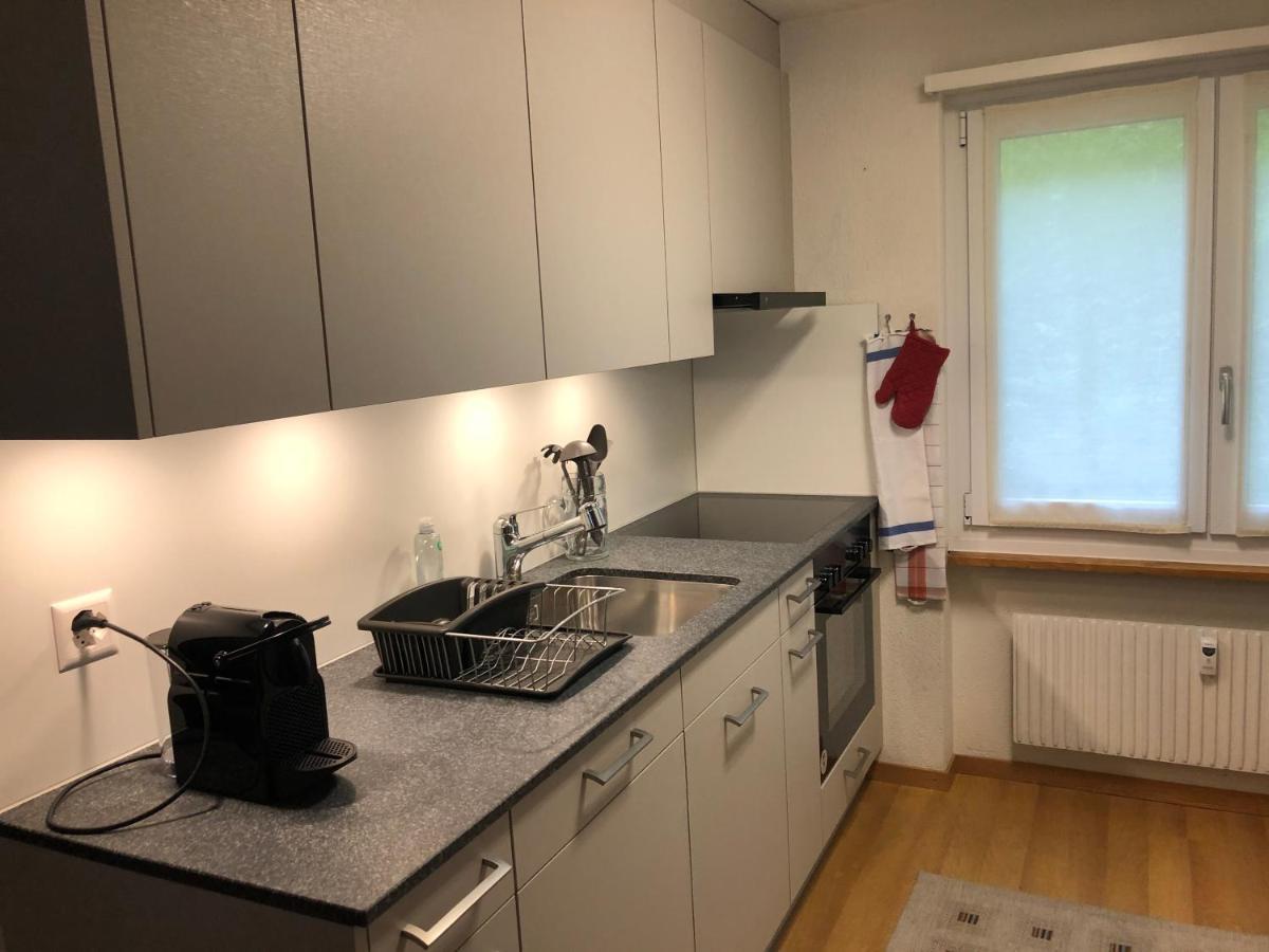 Superior Apartment 100M2 Bodmisonne - Grindelwald Zewnętrze zdjęcie