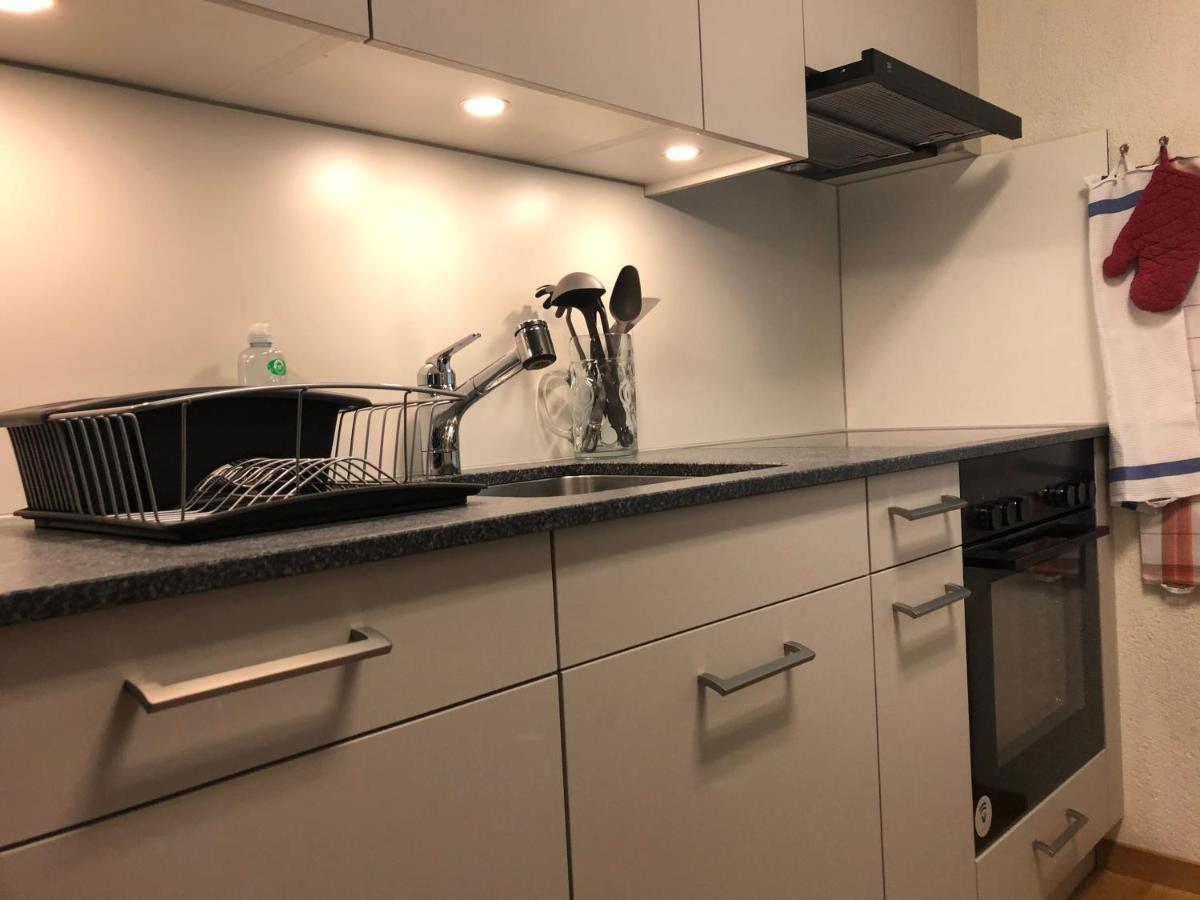 Superior Apartment 100M2 Bodmisonne - Grindelwald Zewnętrze zdjęcie