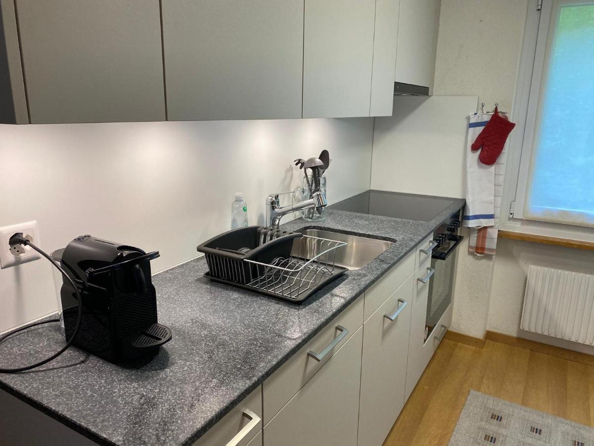 Superior Apartment 100M2 Bodmisonne - Grindelwald Zewnętrze zdjęcie