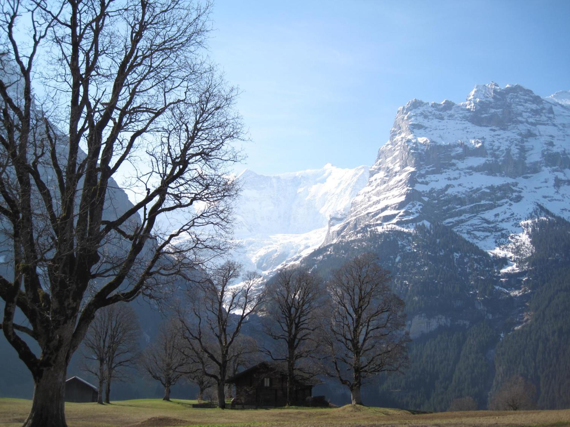 Superior Apartment 100M2 Bodmisonne - Grindelwald Zewnętrze zdjęcie