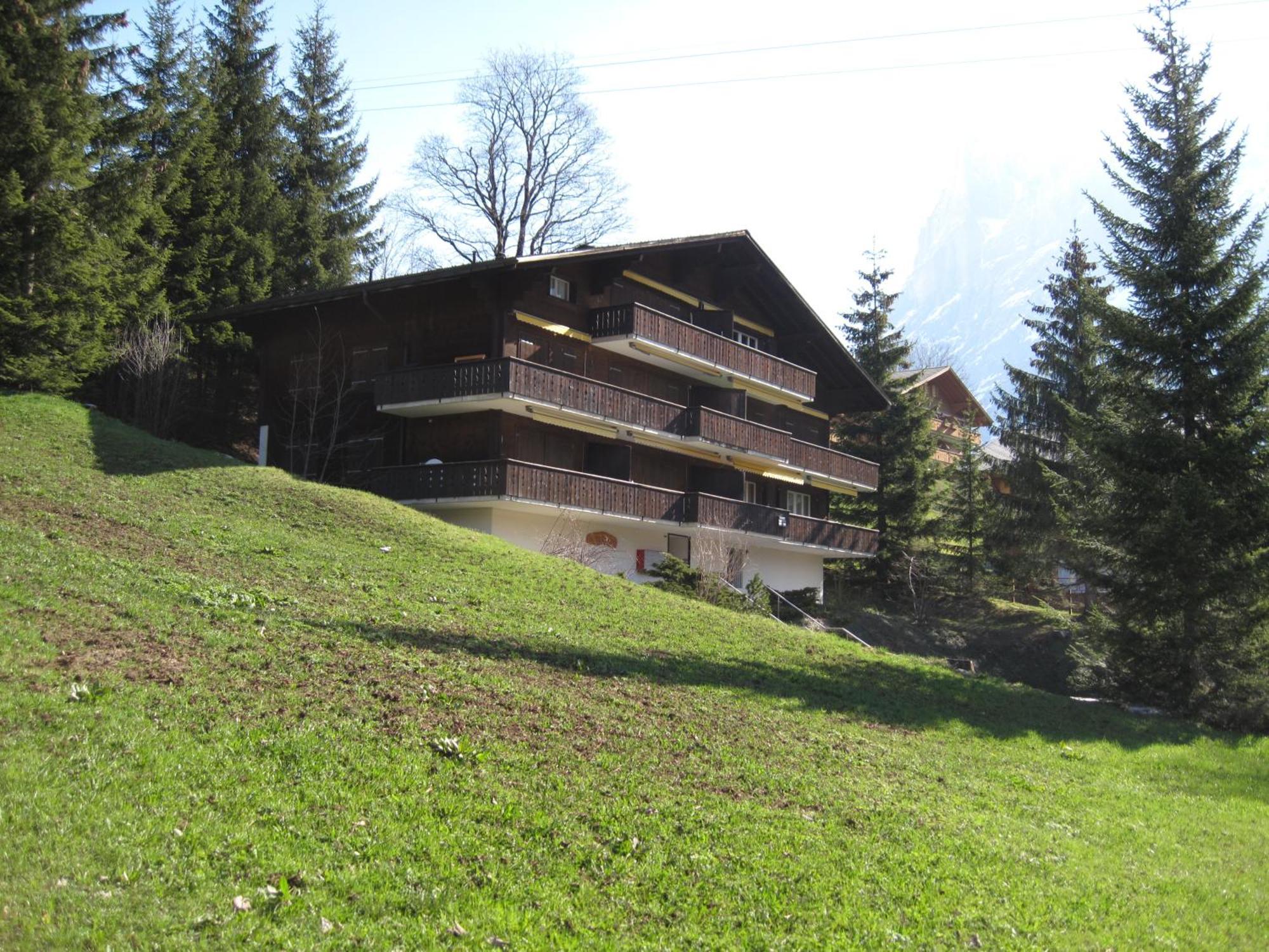 Superior Apartment 100M2 Bodmisonne - Grindelwald Zewnętrze zdjęcie