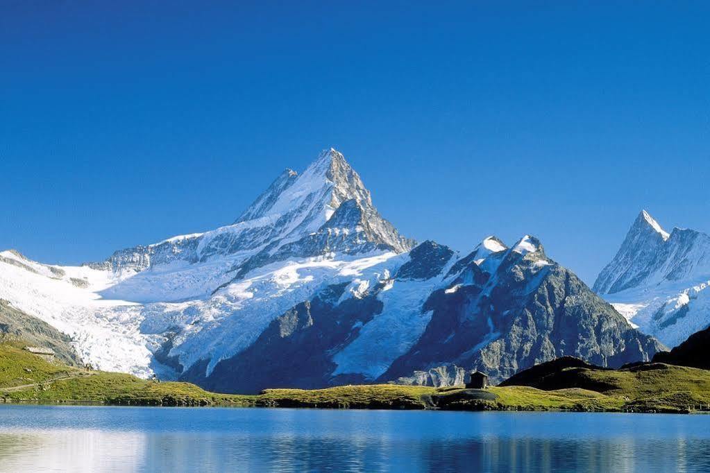 Superior Apartment 100M2 Bodmisonne - Grindelwald Zewnętrze zdjęcie